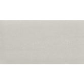 Daltile Fixture 24" X 48" Polished Glacier