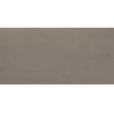 Daltile Fixture 12" X 24" Matte Soil