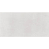 Daltile Cohesion 12" X 24" Polished White