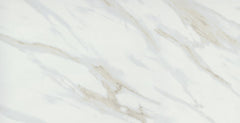 Emser Vara 24"x47" Matte Ribia