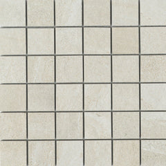 Emser Access II 12" X 12" 2" X 2"  Path 