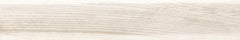 Emser Orchard 8" X 47"  Dawn 