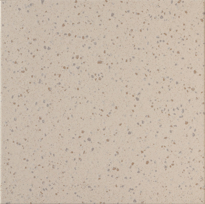 Daltile Harmonist 12" X 24" Matte Poise
