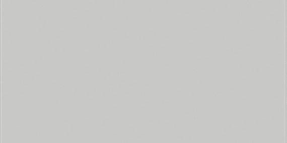 Daltile Vitruvian 4" X 12"  Grey Matte