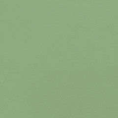 Daltile Volume 1.1 12" X 24" Rally Green