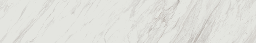 Emser Expanse 24" X 142" Matte  Paliss Frost