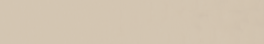 Emser Expanse 24" X 142" Matte  Solo Beige