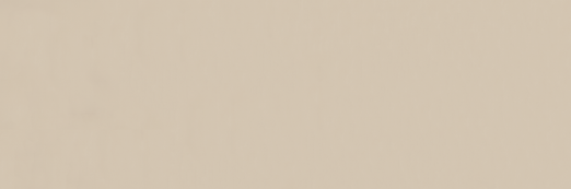 Emser Expanse 39" X 118" Matte  Solo Beige