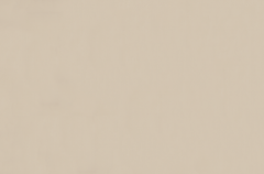 Emser Expanse 47" X 71" Matte  Solo Beige