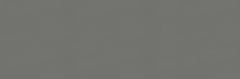Emser Expanse 47" X 142" Matte  Solo Gray