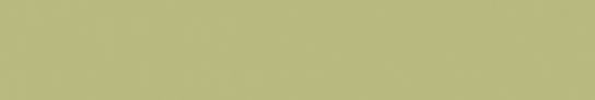 Emser Expanse 20" X 118" Matte  Solo Lime
