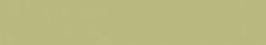 Emser Expanse 20" X 118" Matte  Solo Lime