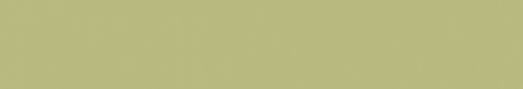 Emser Expanse 24" X 142" Matte  Solo Lime