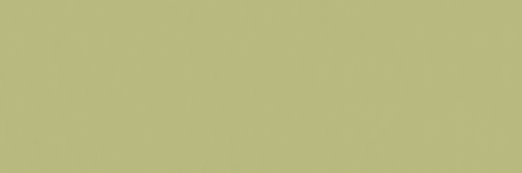 Emser Expanse 39" X 118" Matte  Solo Lime