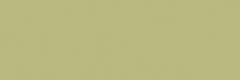 Emser Expanse 39" X 118" Matte  Solo Lime