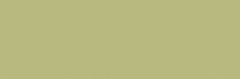 Emser Expanse 47" X 142" Matte  Solo Lime