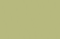 Emser Expanse 47" X 71" Matte  Solo Lime