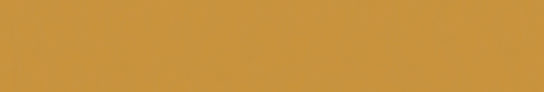 Emser Expanse 20" X 118" Matte  Solo Pumpkin