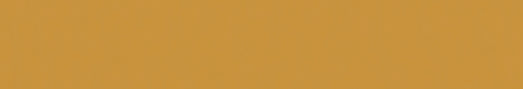 Emser Expanse 24" X 142" Matte  Solo Pumpkin