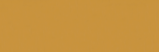 Emser Expanse 39" X 118" Matte  Solo Pumpkin