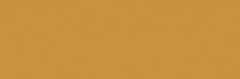 Emser Expanse 39" X 118" Matte  Solo Pumpkin