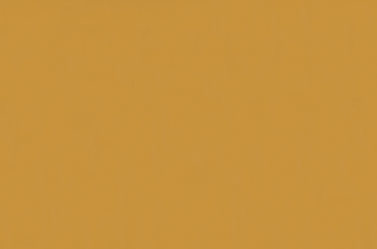 Emser Expanse 47" X 71" Matte  Solo Pumpkin