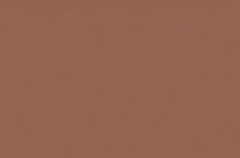 Emser Expanse 47" X 71" Matte  Solo Rosso