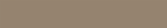 Emser Expanse 20" X 118" Matte  Solo Taupe