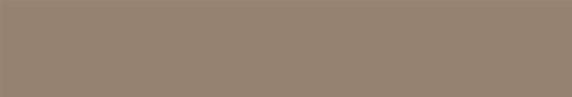 Emser Expanse 24" X 142" Matte  Solo Taupe