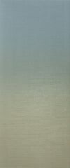 Emser Spectra 20" X 47" Matte  Borealis 