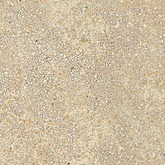 Emser Levata 23" X 23" Brushed  Slim Beach