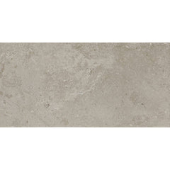 Daltile Scripter 12" X 24" Mentor