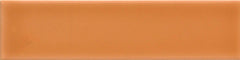 Emser Triveni 2" X 8" Glossy  Canyon 
