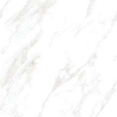 Emser Vara 24"x24" Polished Varzo