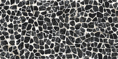 Emser Zambia 24" X 47" Deco Glossy  Turtle 