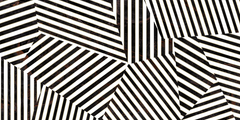 Emser Zambia 24" X 47" Deco Glossy  Zebra 