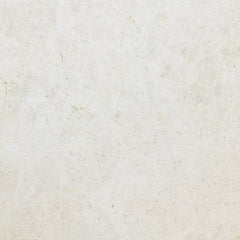 Emser Summit 18"x18" Honed Ivory