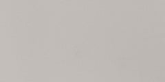Daltile Minimum 12" X 24" Polished Light Gray