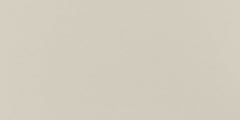 Daltile Minimum 12" X 24" Polished Beige