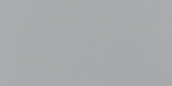 Daltile Minimum 12" X 24" Polished Gray