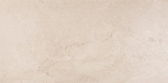 Daltile Advantage 12" X 24"  Mural Taupe