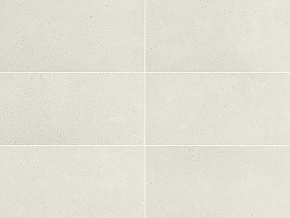 Daltile Outlander 24" X 48" Palazzo Moonlight