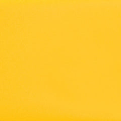 Daltile Color Complements 8" X 24" Matte Matte Daisy