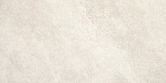 Daltile Choice 12" X 24"  Fair