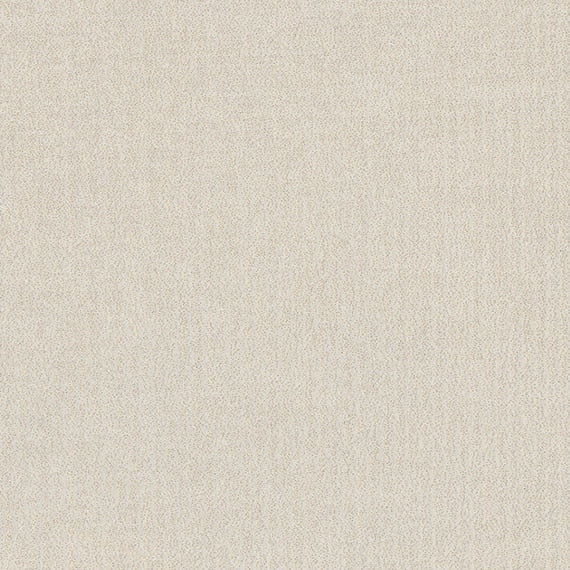 Daltile Prime 18" X 18"  White KC01
