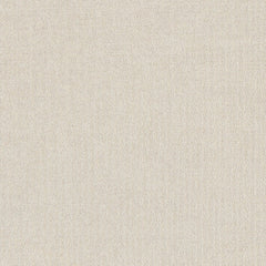 Daltile Prime 18" X 18"  White KC01