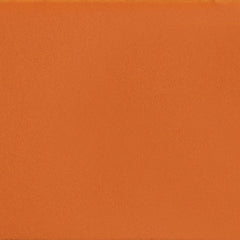Daltile Color Complements 8" X 24" Matte Matte Mango