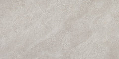 Daltile Choice 12" X 24"  Iron