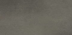 Daltile Volume 1.0 12" X 24" Matte Intensity Pebbl