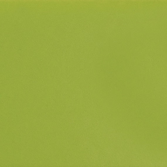 Daltile Color Complements 10" X 14" Matte Matte Kiwi